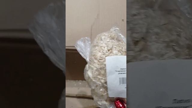 распаковка посылки Агромаркет 24 смотреть онлайн