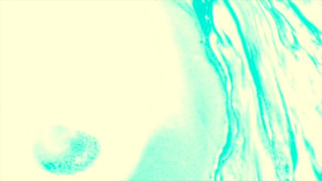 Om Mani Padme Hum #mantra