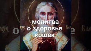 Молитва Святому Власию о здоровье кошек.