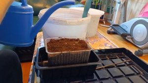 Грунт для рассады Лук Кармен МС