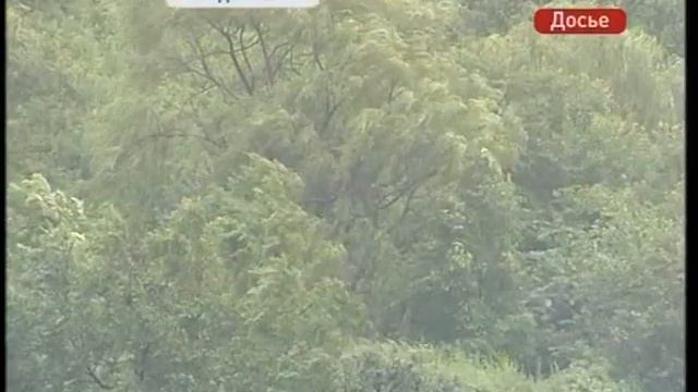 Режим повышенной готовности введен в Приморье из-за двух надвигающихся тайфунов смотреть онлайн