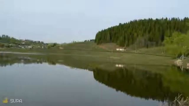 Пруд смотреть онлайн