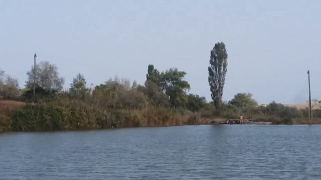 Разводим рыбу дагестан субботник(2) смотреть онлайн