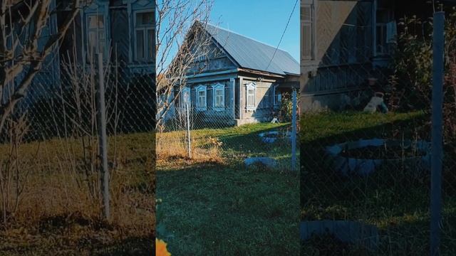 дом моего детства♥️ #деревня #лето #жизньвдеревне #дача #короткиевидео #природа #цветы #дети #букет смотреть онлайн