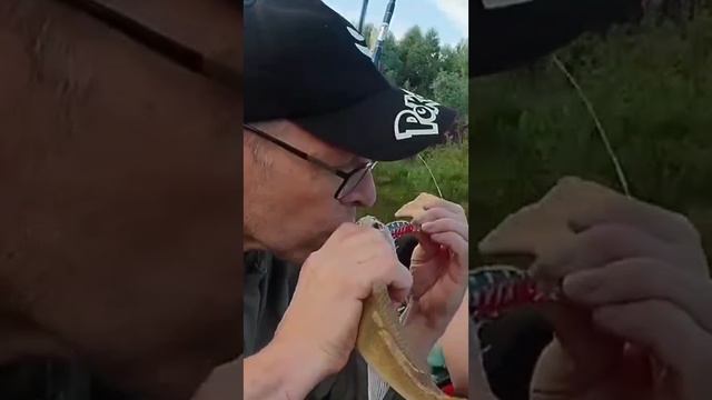 На рыбалку приехал...😁 смотреть онлайн