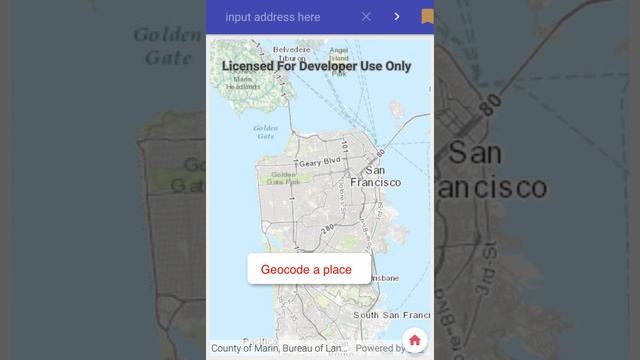 ArcGIS Functional MapView смотреть онлайн
