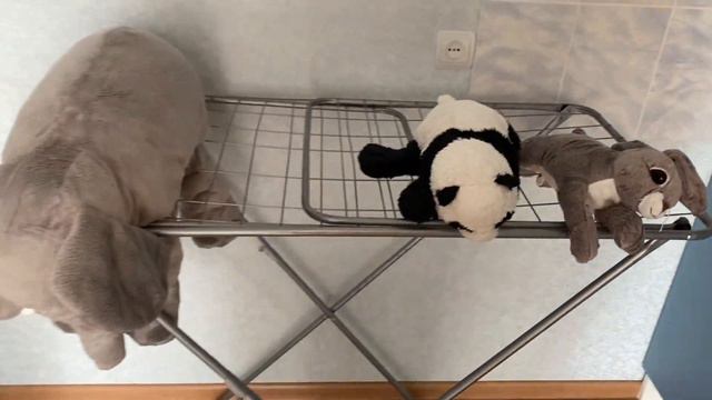 Выходной дома. 9 идей, чем заняться. смотреть онлайн