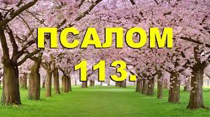 ✞Псалом 113✞Молитва исцеления детей✞
