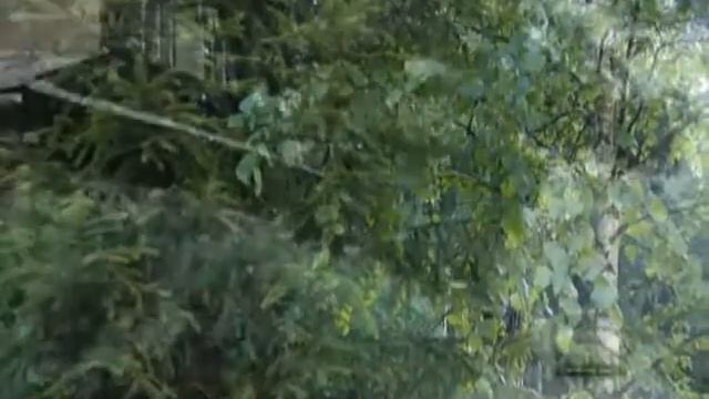 Таруса смотреть онлайн