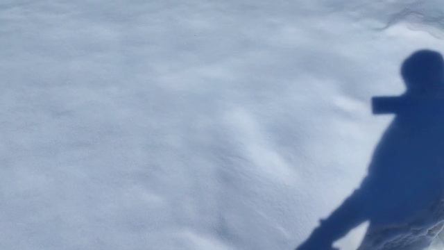 На дачу в апреле 2023г./Заброшенная дача#сибирь#дача#огород#рассада#влог смотреть онлайн