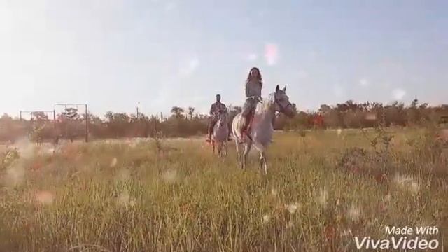 Конная прогулка для двоих в подарок. смотреть онлайн