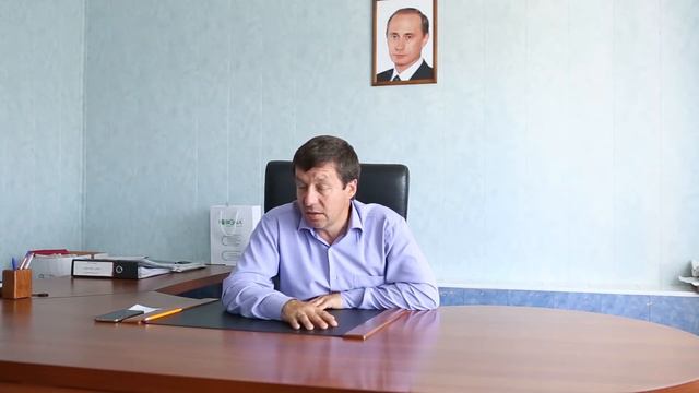 подсолнух смотреть онлайн
