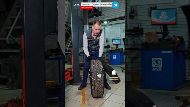 Всесезонка - что важно знать? смотреть онлайн