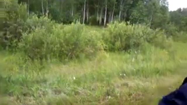 финны не собирают грибы смотреть онлайн