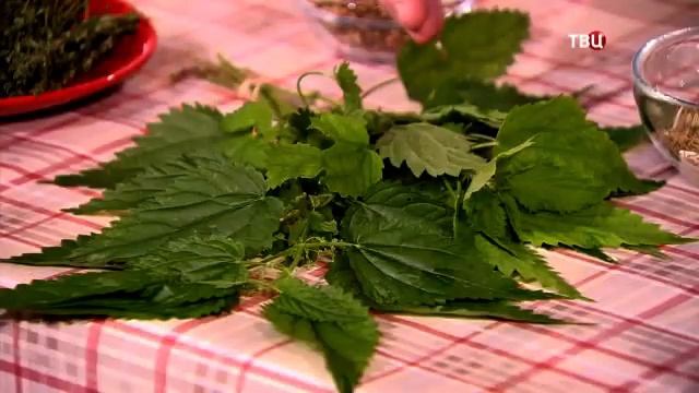 371 Степанов венок – от всех болезней смотреть онлайн