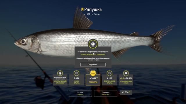 Русская рыбалка 4. Ладожский архипелаг. Трофей Ряпушка. Трофейная рыбалка. смотреть онлайн