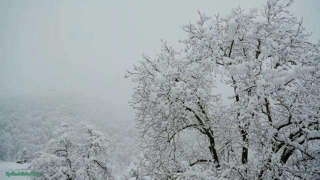 Снег идёт/Снег кружится/Сказочный Зимний Пейзаж/Нежная музыка смотреть онлайн