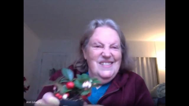 November gardening with Ann смотреть онлайн