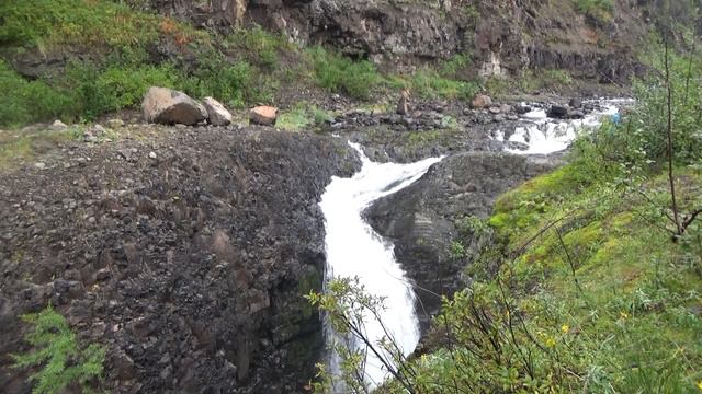 Лама Водопад на Витаминке