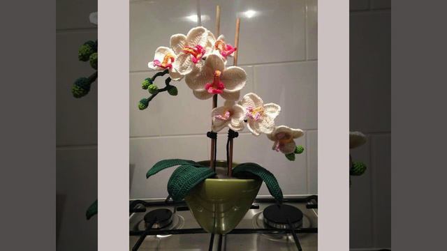 Top 40 phalaenopsis flowers Arrangements and flower decoration ideas part 2 смотреть онлайн