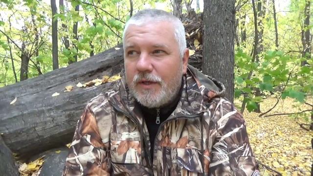 Кнопка СПОНСИРОВАТЬ - одобрено! смотреть онлайн