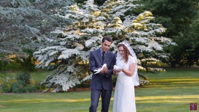 Скажите птицы. Игорь Смирнов смотреть онлайн