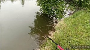 рыбалка одинокого окуня ?! с. Анцирь Канский район Красноярского края.
