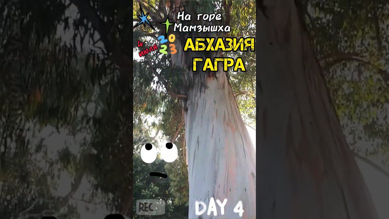 Абхазия #Гагра. На Кавказе есть Гора #Мамзышха, лезем в гору 4 июля 2023 смотреть онлайн
