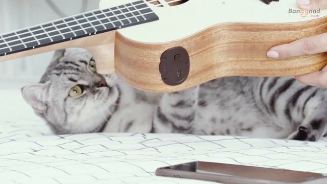 Populele Q1 23 Inch App-Controlled Smart Ukulele Spruce Musical Instrument смотреть онлайн