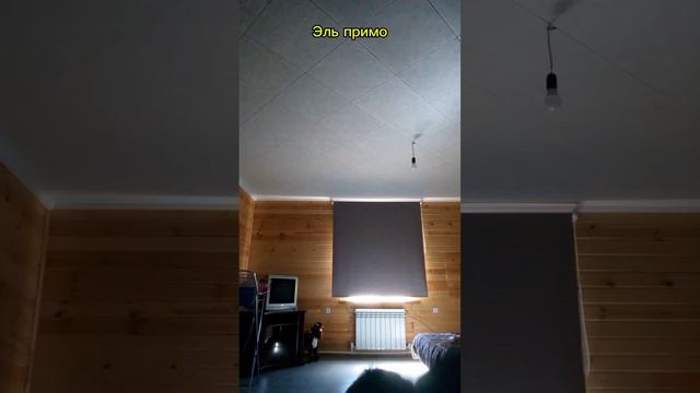 Типичные бравлеры #3.