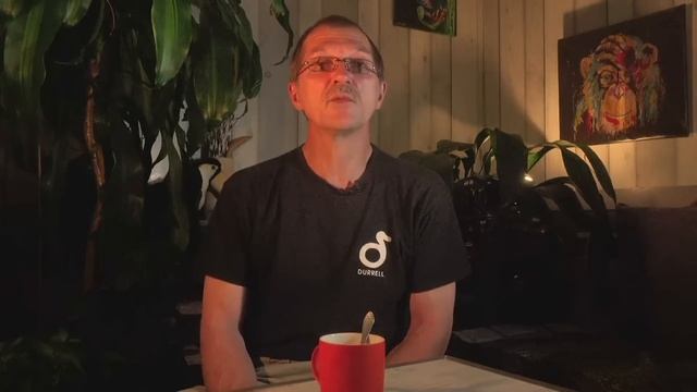 Время птенцов и ответов на интересные комментарии смотреть онлайн