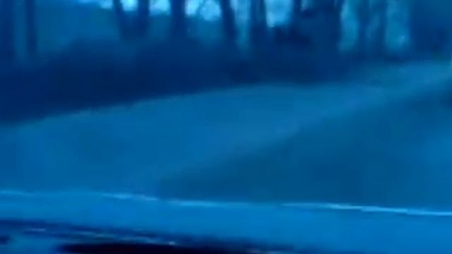 Марк 2 обнял дерево по дороге к ЗСМК 2.04.2012г. смотреть онлайн