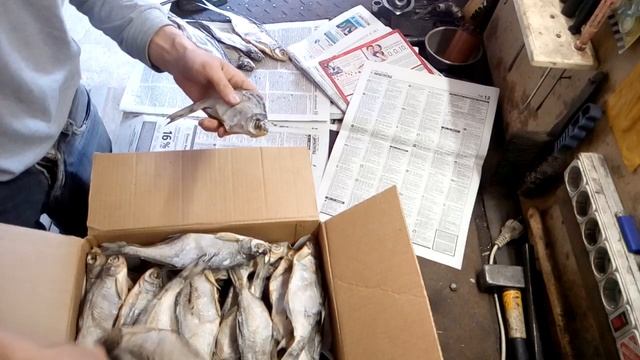 Как хранить вяленую рыбу в домашних условиях.