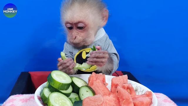 Baby Monkey Bin Bin Eats Cucumber And Watermelon Mukbang