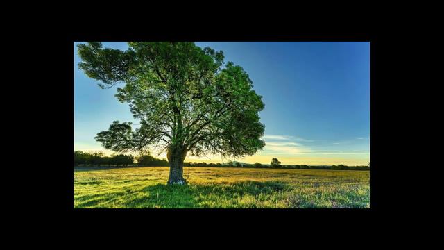 История Украины кратко (история народа). Про Украину сегодня: территория и судьба. смотреть онлайн