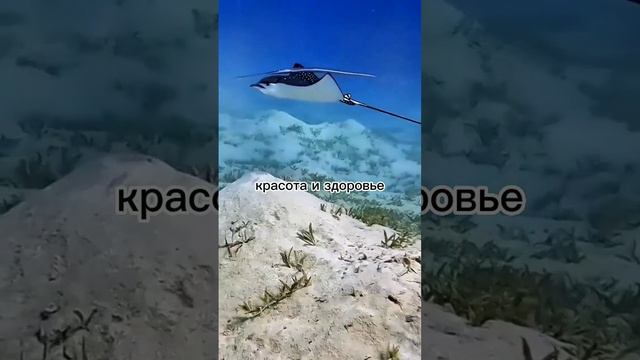 это доступно тайна здоровья открыта омоложение инсульт давление диабет варикоз зрение жкт астма смотреть онлайн