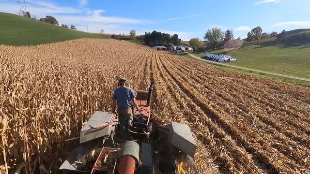 Corn Harvest Has Begun! Picking Corn 2022!
