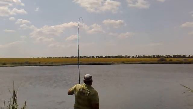 Поймал Белого Амура смотреть онлайн