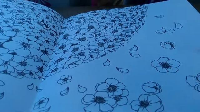 Обзор раскраски-антистресс "4 seasons" смотреть онлайн