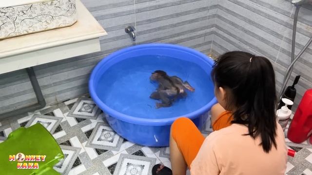 Quynh helps mom bathe monkey Kaka while mom takes care of baby Diem смотреть онлайн
