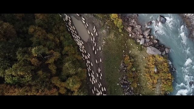 Camel Active Spring Summer Collection 2019 смотреть онлайн