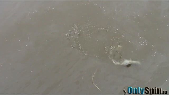 Ловля форели на спиннинг. Trout Area смотреть онлайн