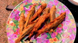 Сибирские пескари во фритюре или по следам медведя.