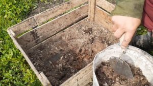 КУРИНЫЙ ПОМЁТ КАК УДОБРЕНИЕ/ГОТОВИМ ПРАВИЛЬНО