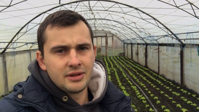 Аминокислоты для растений . Зачем и когда вносим удобрения ??? смотреть онлайн