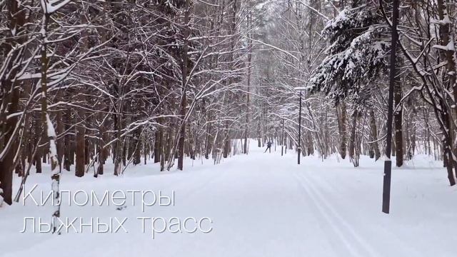 Мещерский лес | Инфраструктура района | ПИК смотреть онлайн