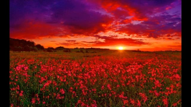 "Левкой". Музыка Александра Чурсина, слова Ирины Булаховой, исполняет Александр Чурсин. смотреть онлайн