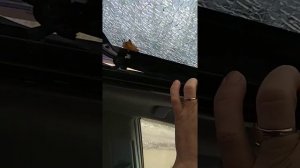 Замена люка (стекло) LEXUS RX350