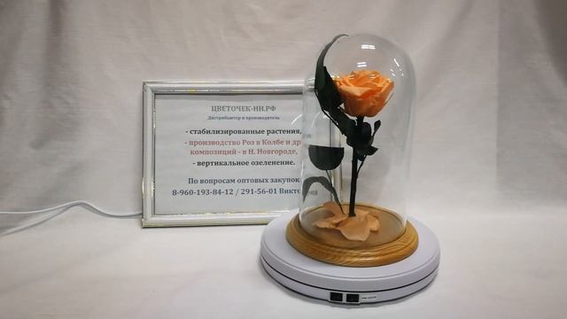 Персиковая роза премиум в стеклянной колбе смотреть онлайн