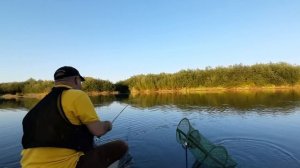 Как ловить уклейку    вёдрами